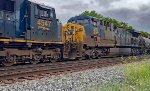 CSX 519